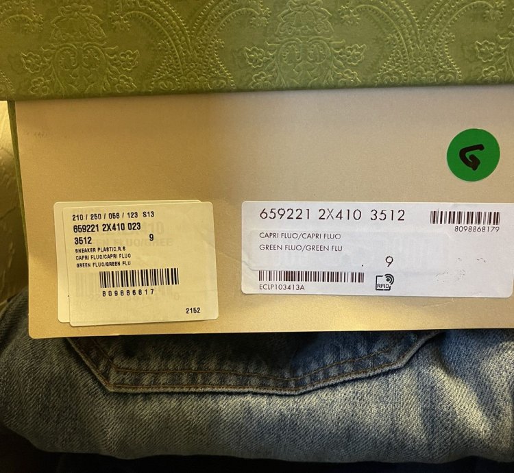 Gucci Sneaker Plastic Capri Fluo