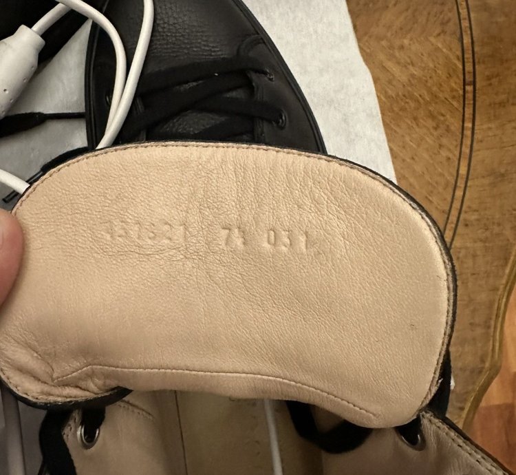 Gucci Tiger Sneakers