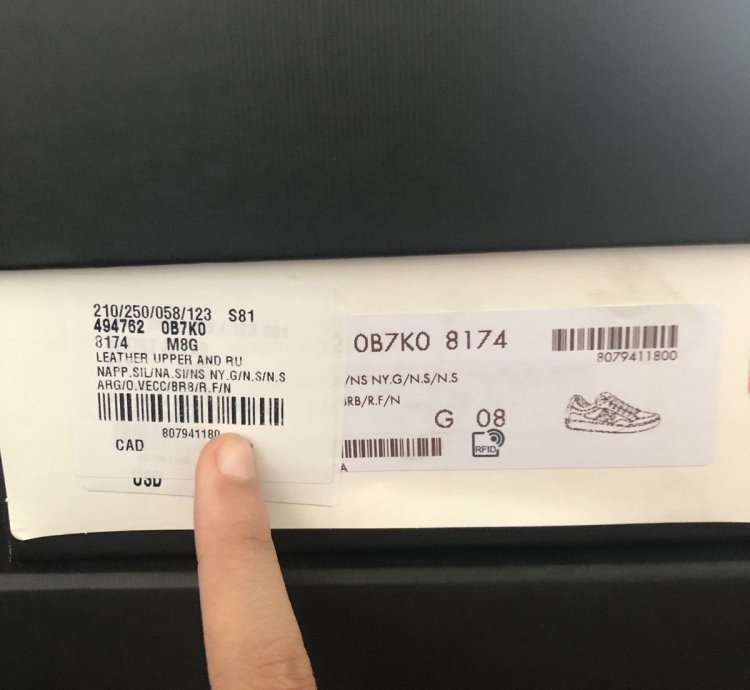 Gucci Web Leather Screener Sneakers