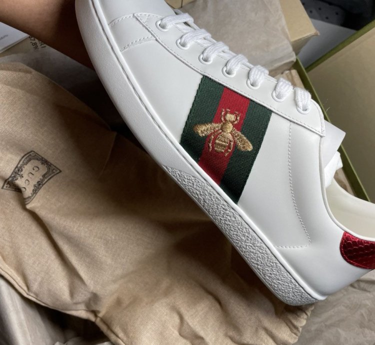 Men Ace embroidered sneaker