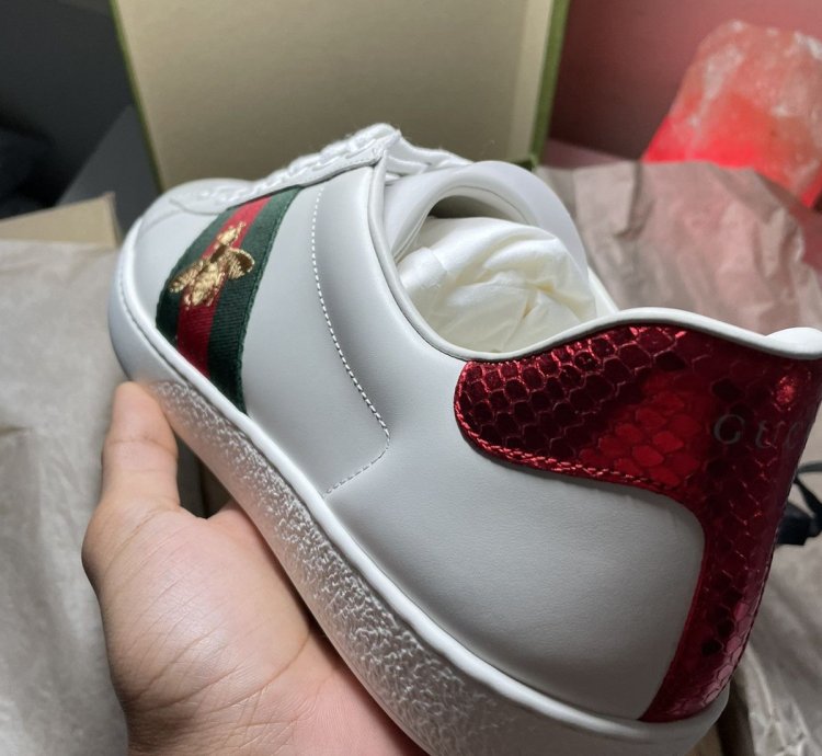 Men Ace embroidered sneaker