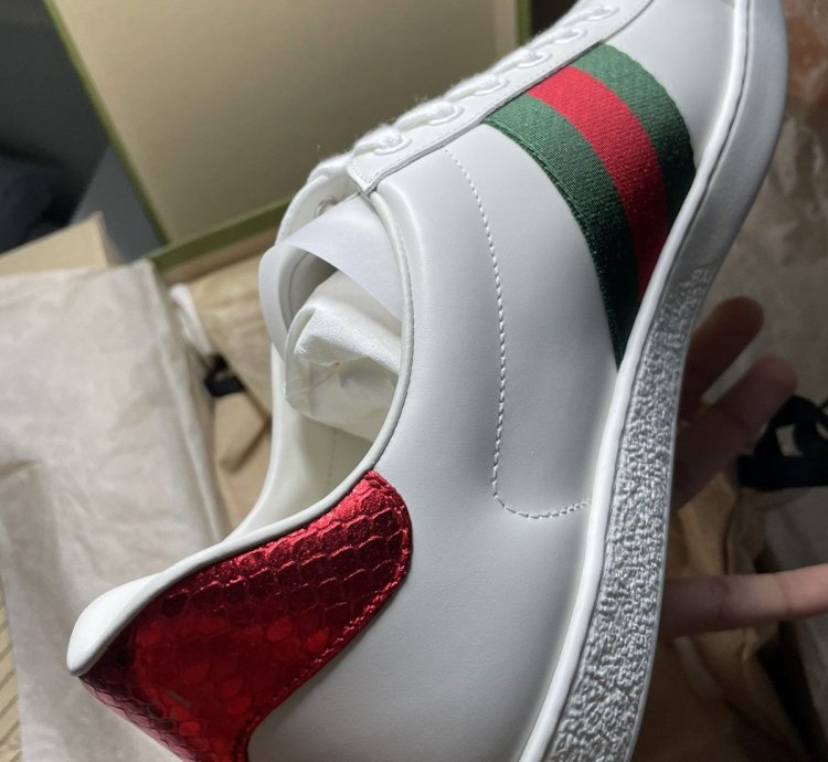 Men Ace embroidered sneaker