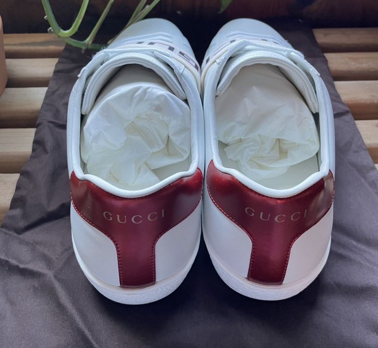 Men Ace sneaker with elastic logo strap