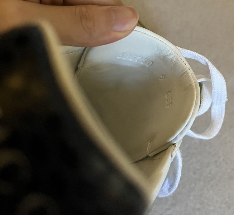 NEW Gucci Ace Leather Sneakers