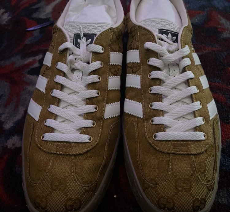 RARE Gucci Adidas Gazelle