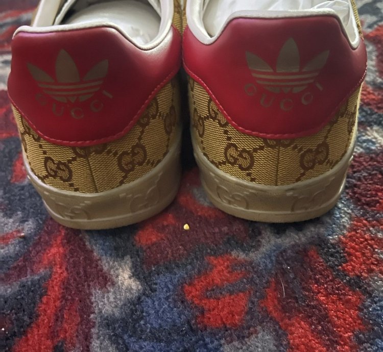 RARE Gucci Adidas Gazelle