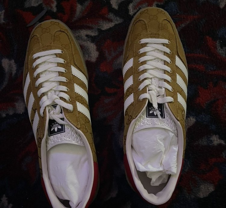 RARE Gucci Adidas Gazelle