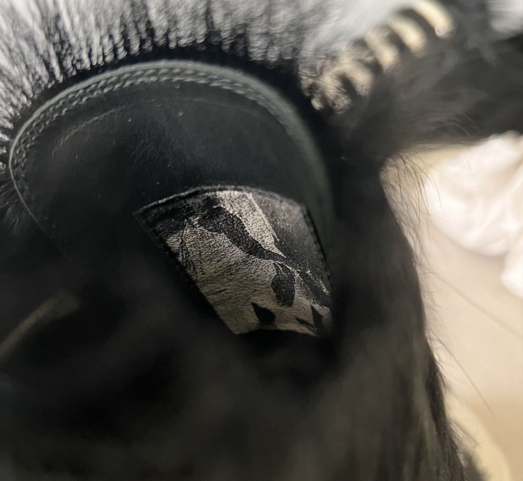 Rick Owens Ramones Lows in Black Fur