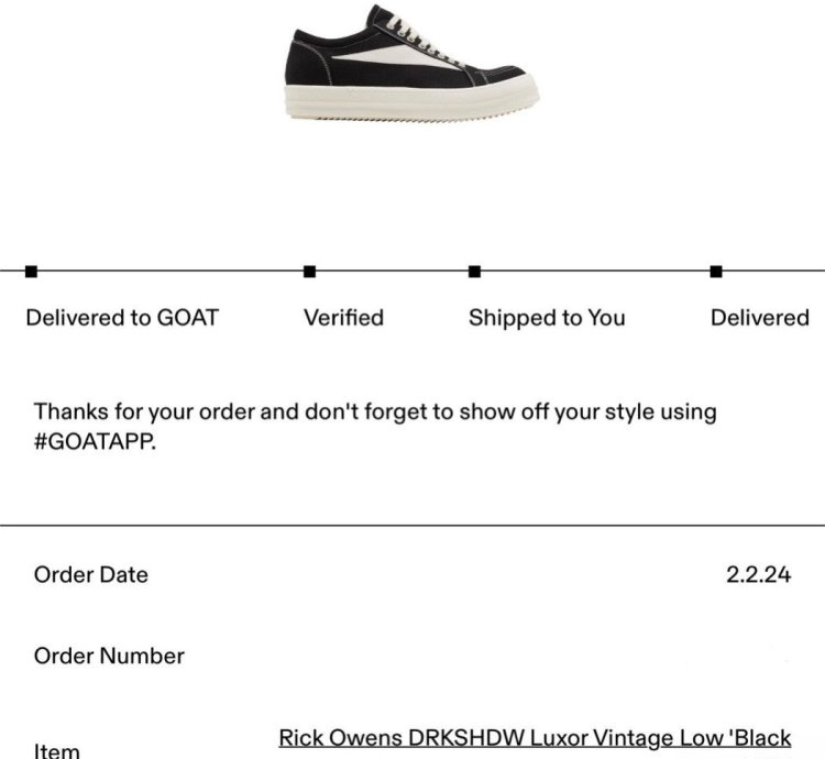 Rick owens vintage sneakers