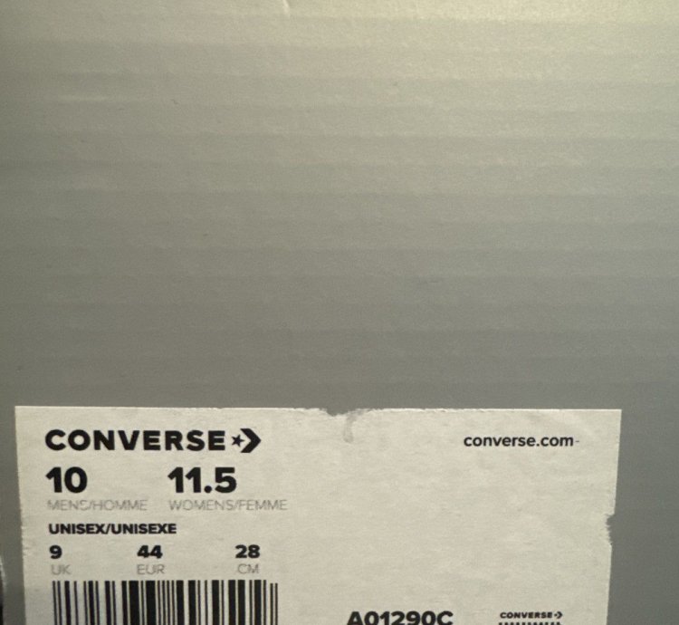 Size 10 Rick Owens Converse TURBOWPN Dark Dust
