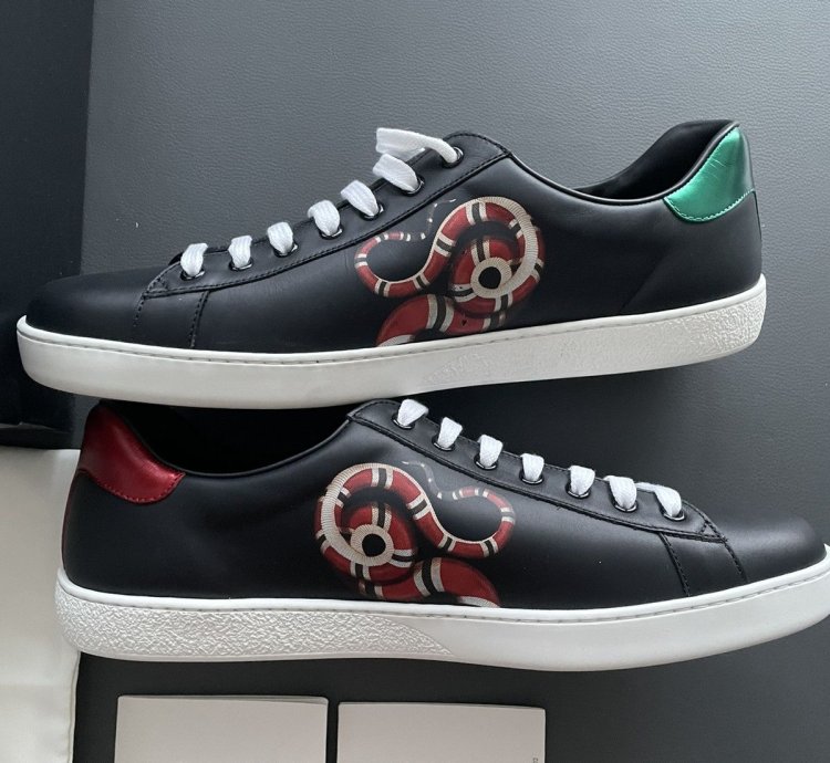 Super Rare Brand NEW Sold Out King Snake ACE Leather Sneaker