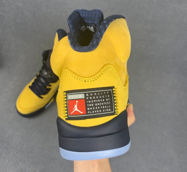 Nike Air Jordan 5 Retro Michigan (2019)