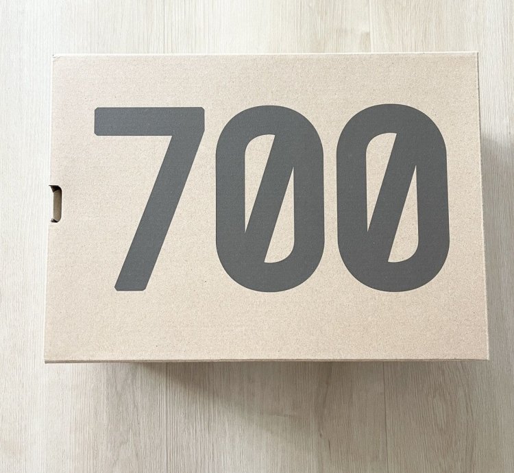 Adidas Yeezy 700 Wave Runner - Size 9 5