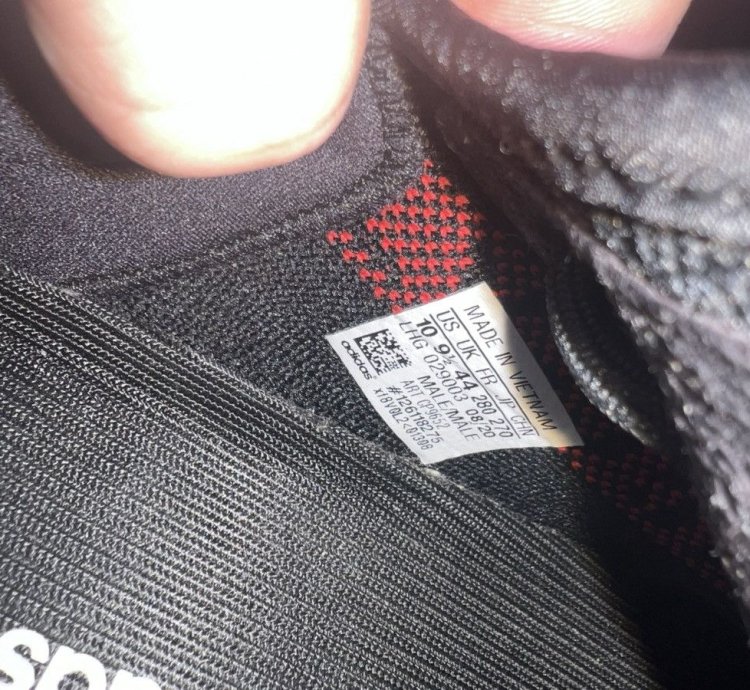 Adidas Yeezy Boost 350 V2