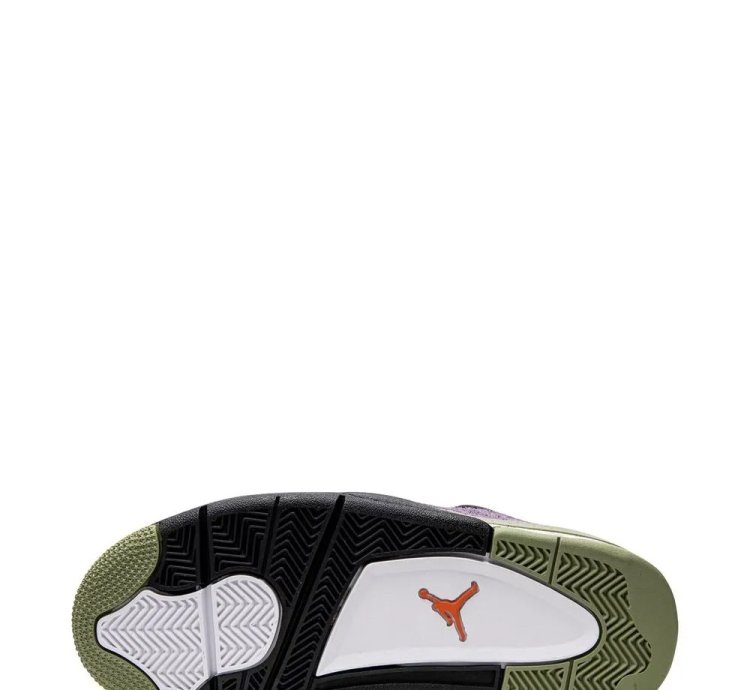 Air Jordan 4 Canyon Purple