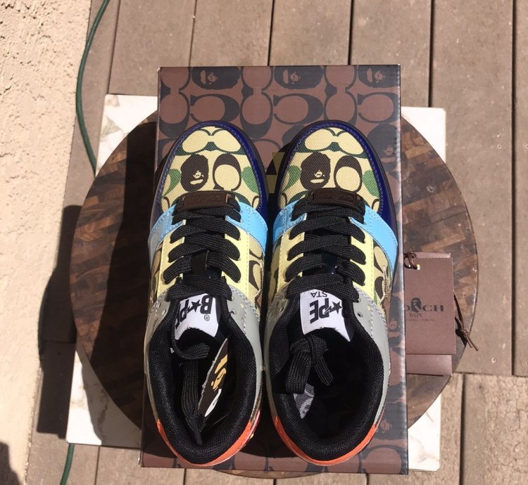 Bape Coach rainbow bapesta size 5