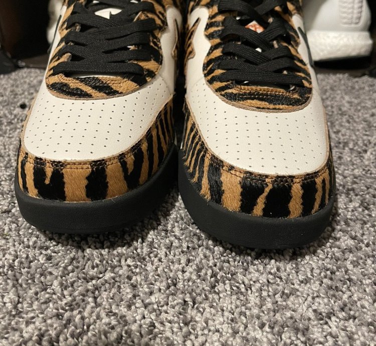 Bape Roadsta