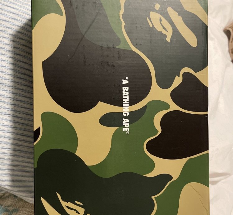 Bape Roadsta