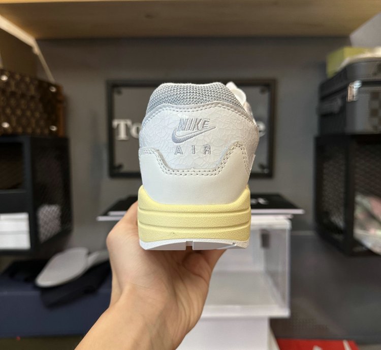 Nike Air Max 1 Shoes - DQ0299-100
