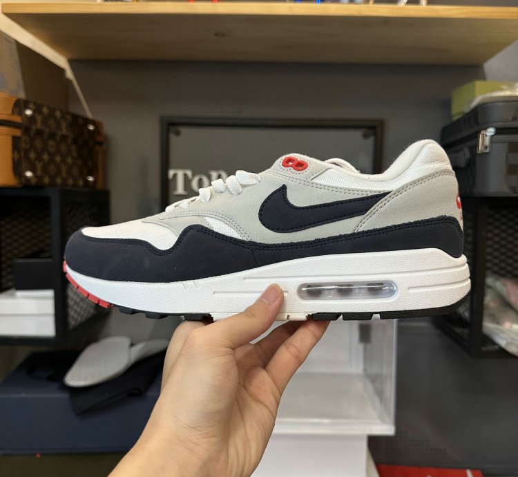 Nike Air Max 1 Shoes - FJ8314-001
