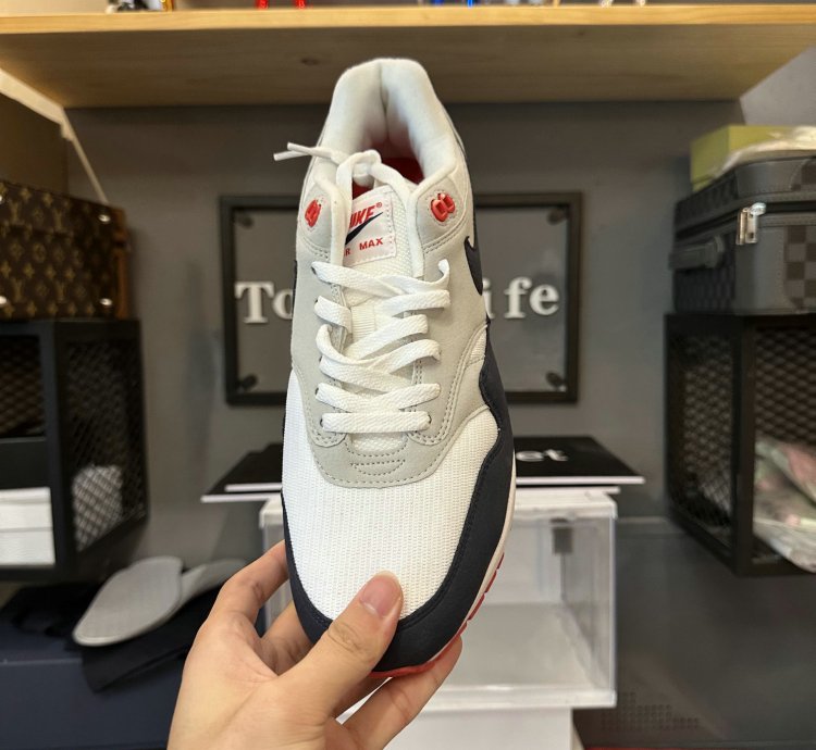 Nike Air Max 1 Shoes - FJ8314-001
