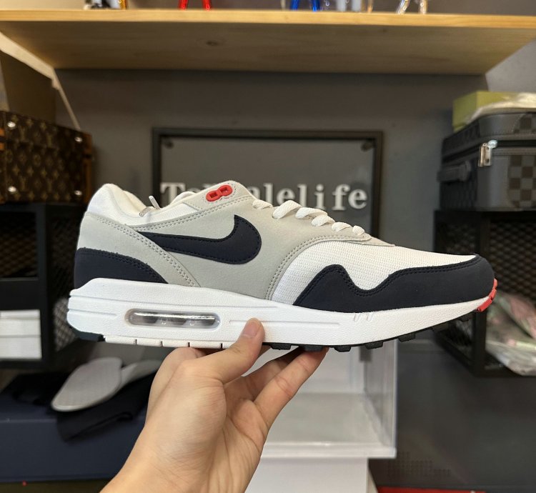 Nike Air Max 1 Shoes - FJ8314-001