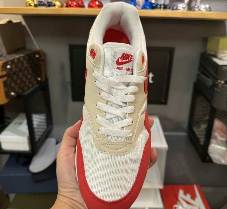 Nike Air Max 1 Shoes - DQ3989-100