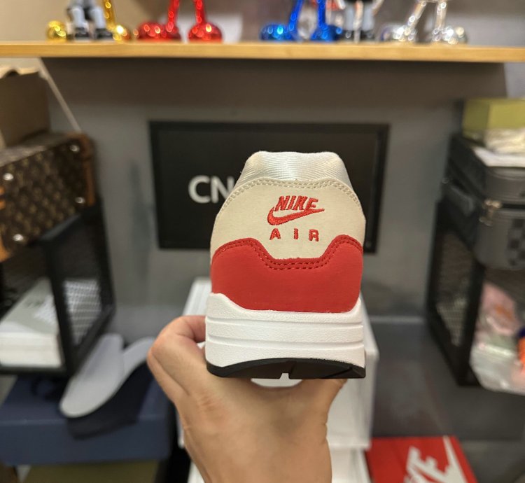 Nike Air Max 1 Shoes - DQ3989-100