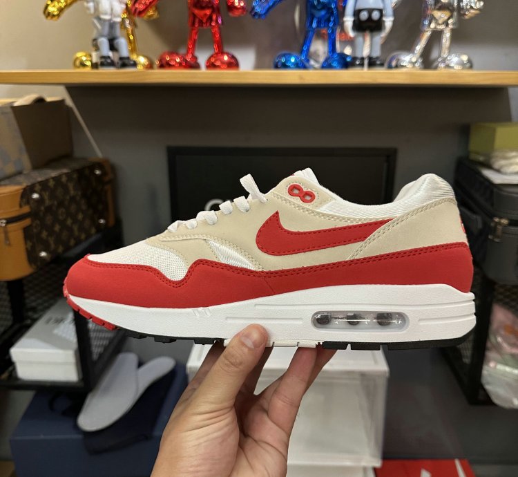 Nike Air Max 1 Shoes - DQ3989-100