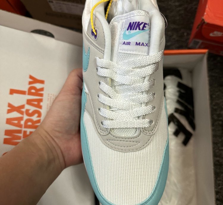 Nike Air Max 1 Shoes - 908375-105