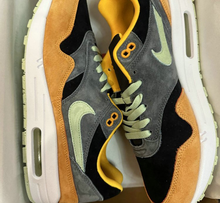 Nike Air Max 1 Shoes - DZ0482-001