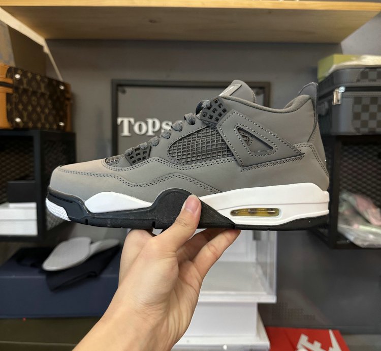 Jordan 4 Retro Cool Grey (2019) 308497-007