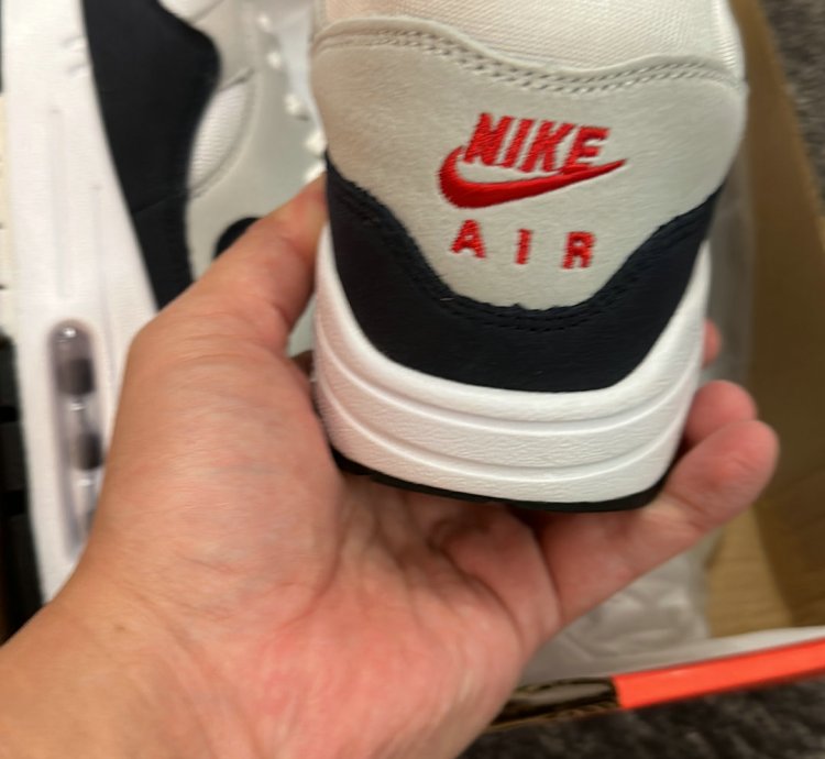 Nike Air Max 1 Shoes - DQ3989-101
