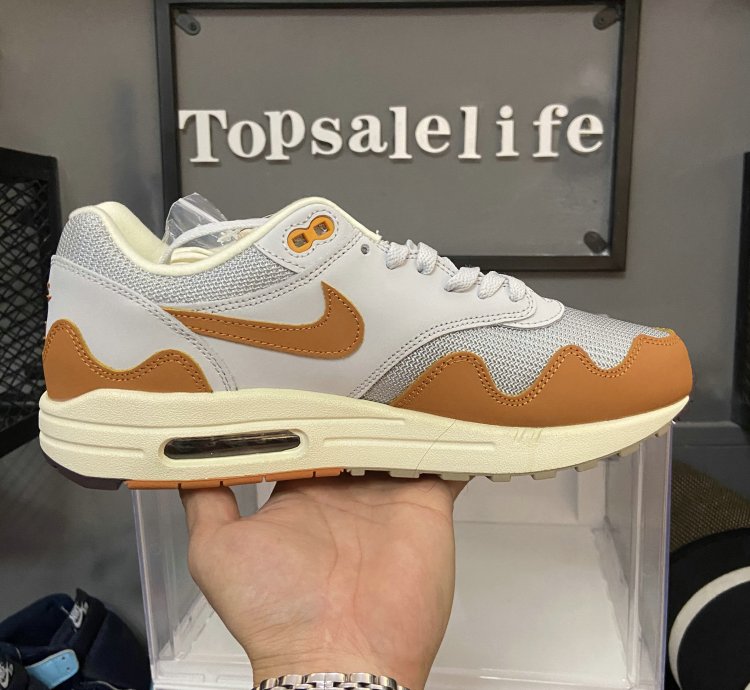 Nike Air Max 1 Shoes - DH1348-001
