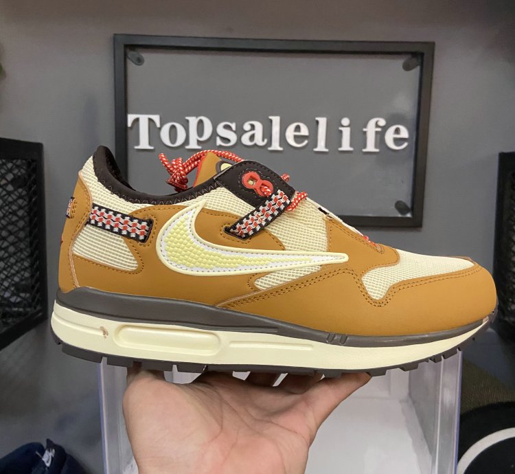 Nike Air Max 1 Shoes - DO9392-701