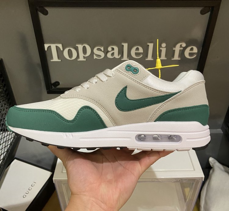 Nike Air Max 1 Shoes - DC1454-100