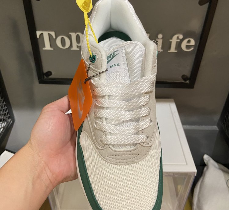Nike Air Max 1 Shoes - DC1454-100
