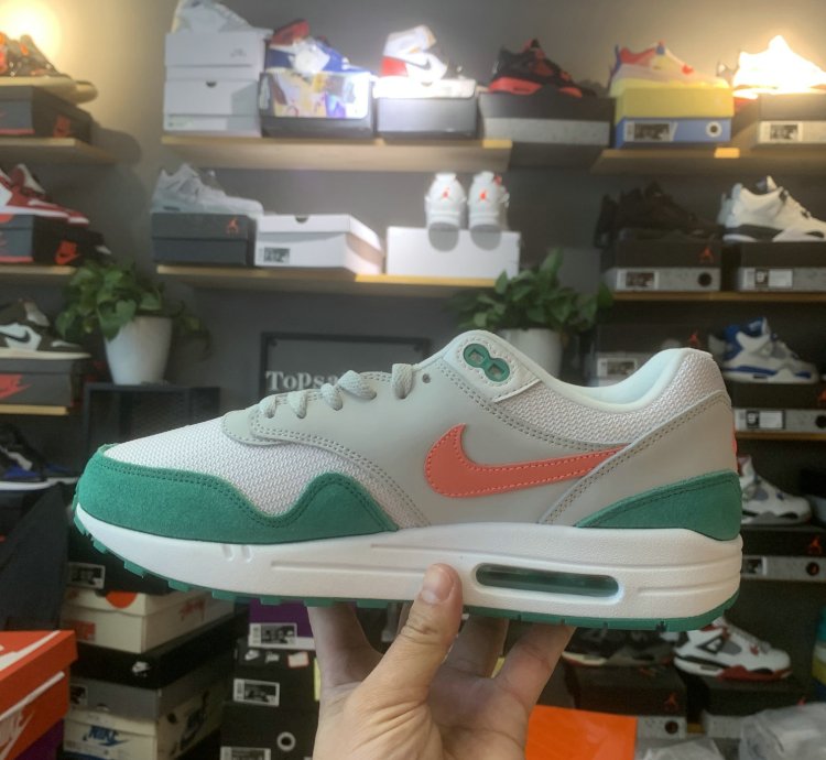 Nike Air Max 1 Shoes - AH8145-106