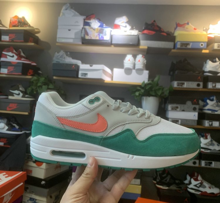 Nike Air Max 1 Shoes - AH8145-106