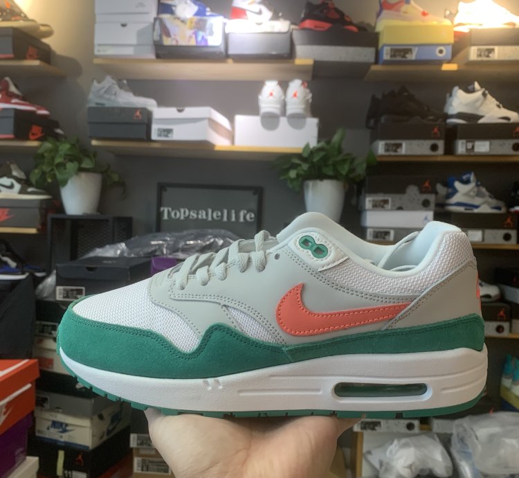 Nike Air Max 1 Shoes - AH8145-106