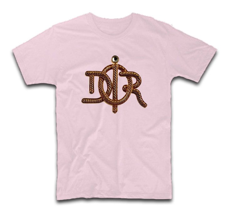 Dior Staggered Steel Logo T-Shirt USA