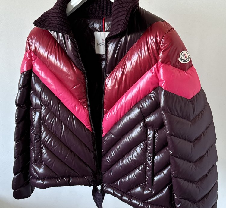 Moncler Albatros multicolor puffer jacket
