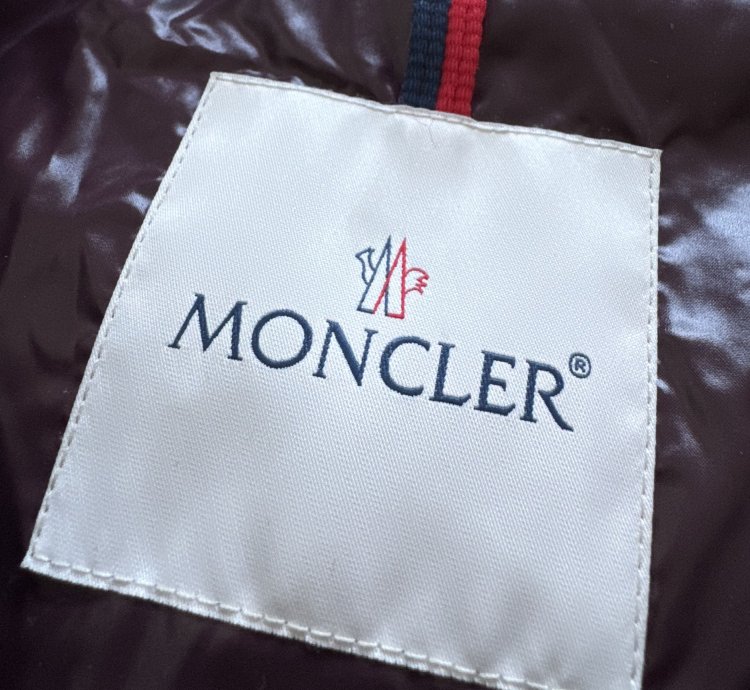Moncler Albatros multicolor puffer jacket