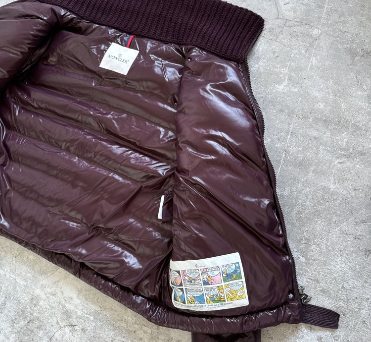 Moncler Albatros multicolor puffer jacket