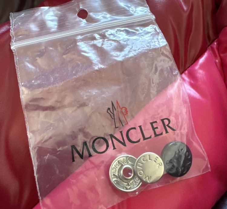 Moncler Albatros multicolor puffer jacket