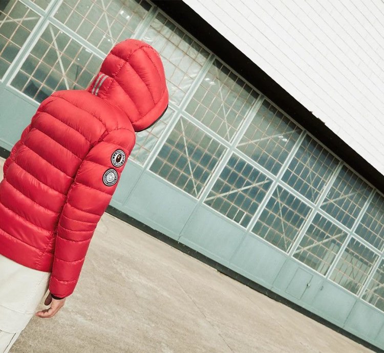 Bape Canada Goose Concepts Crofton Shark Jacket