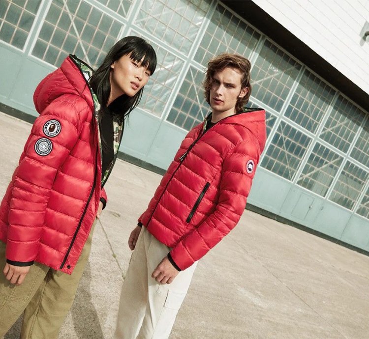 Bape Canada Goose Concepts Crofton Shark Jacket