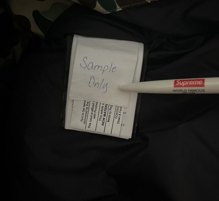 Bape Canada Goose Expedition Jacket