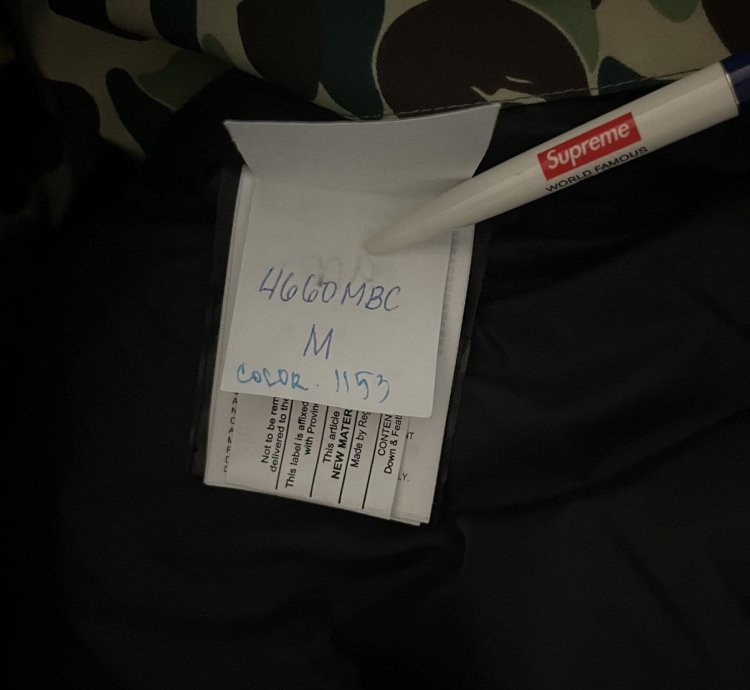 Bape Canada Goose Expedition Jacket
