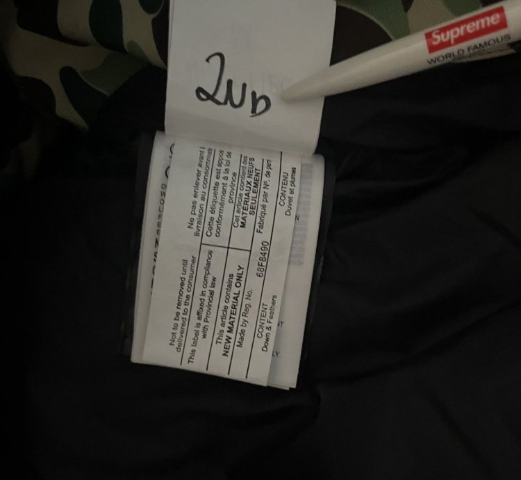 Bape Canada Goose Expedition Jacket